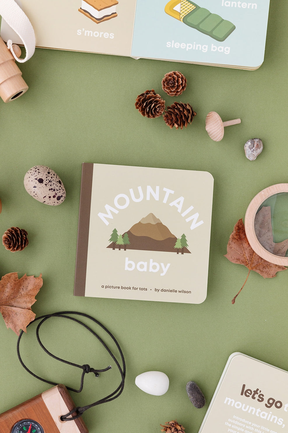 Mountain Baby Board Book
