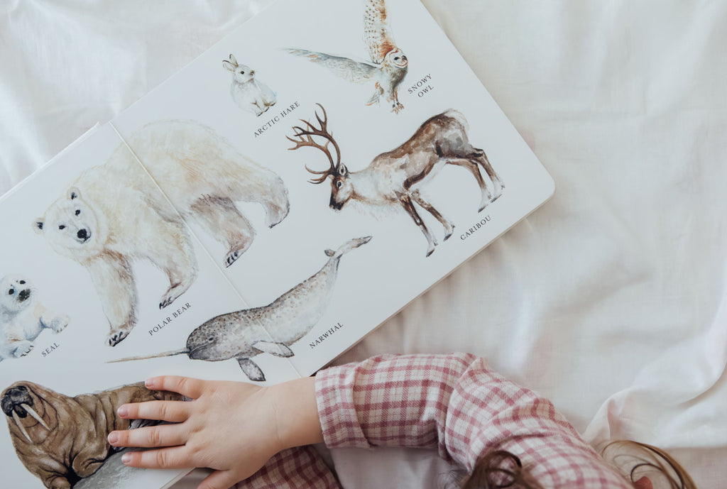 Our Big Book of Animals by Tabitha Paige