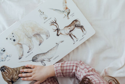 Our Big Book of Animals by Tabitha Paige